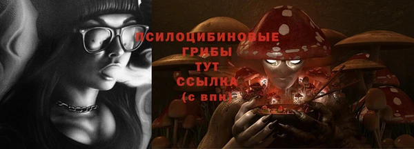 дмт Алзамай