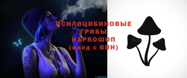 дмт Алзамай