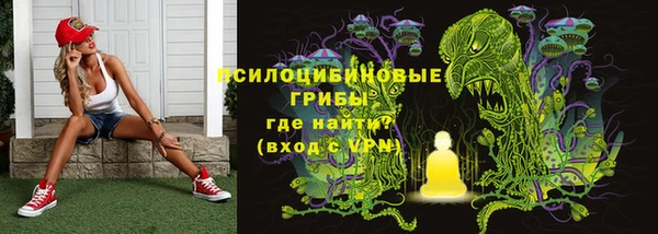 дмт Алзамай