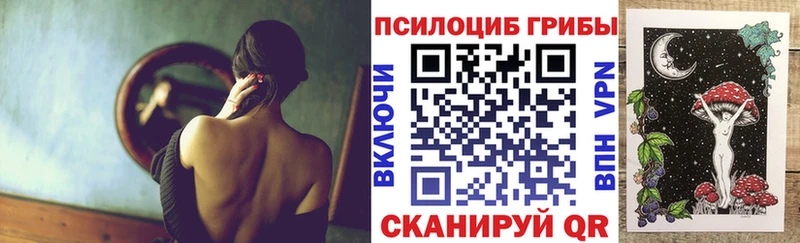 MEGA tor  наркотики  Верхоянск  Псилоцибиновые грибы Magic Shrooms 